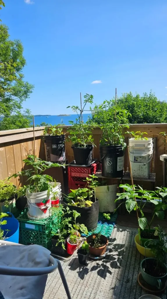 Back Deck Decorating Ideas Back Deck Decorating Ideas