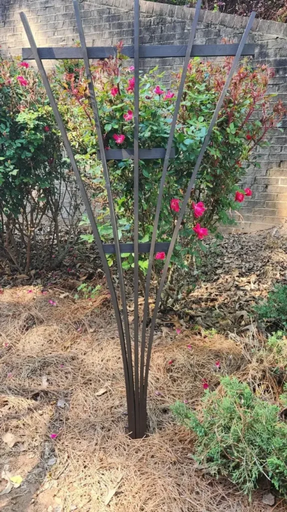 Homemade Trellis Ideas