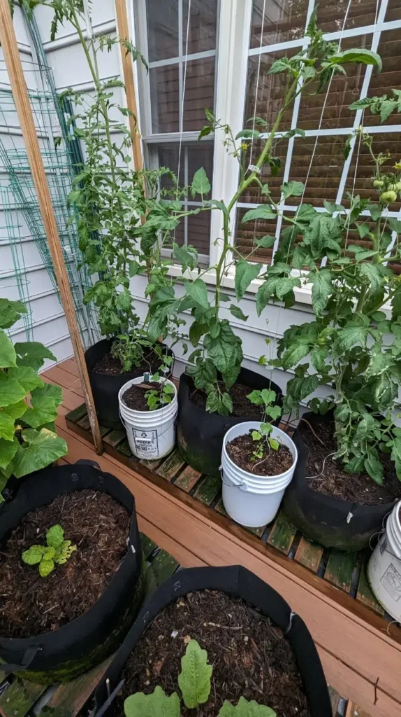 Homemade Trellis Ideas