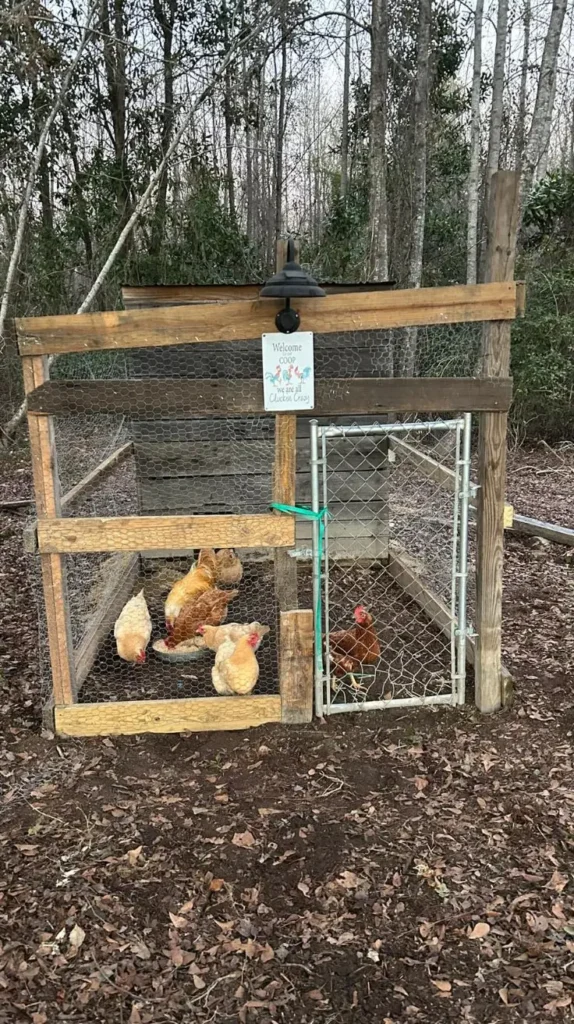 Low Budget Chicken Coop Ideas Low Budget Chicken Coop Ideas