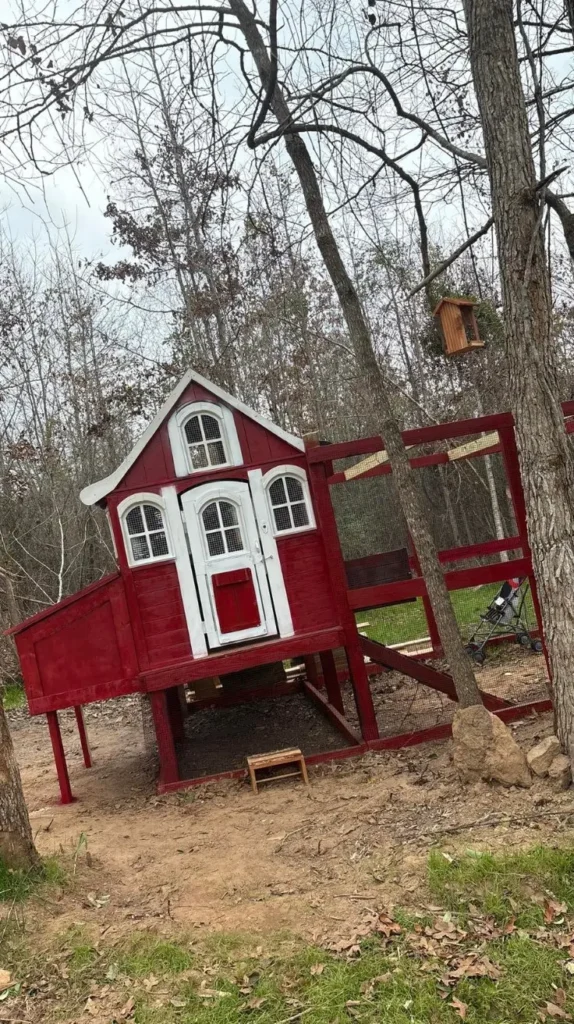 Low Budget Chicken Coop Ideas Low Budget Chicken Coop Ideas