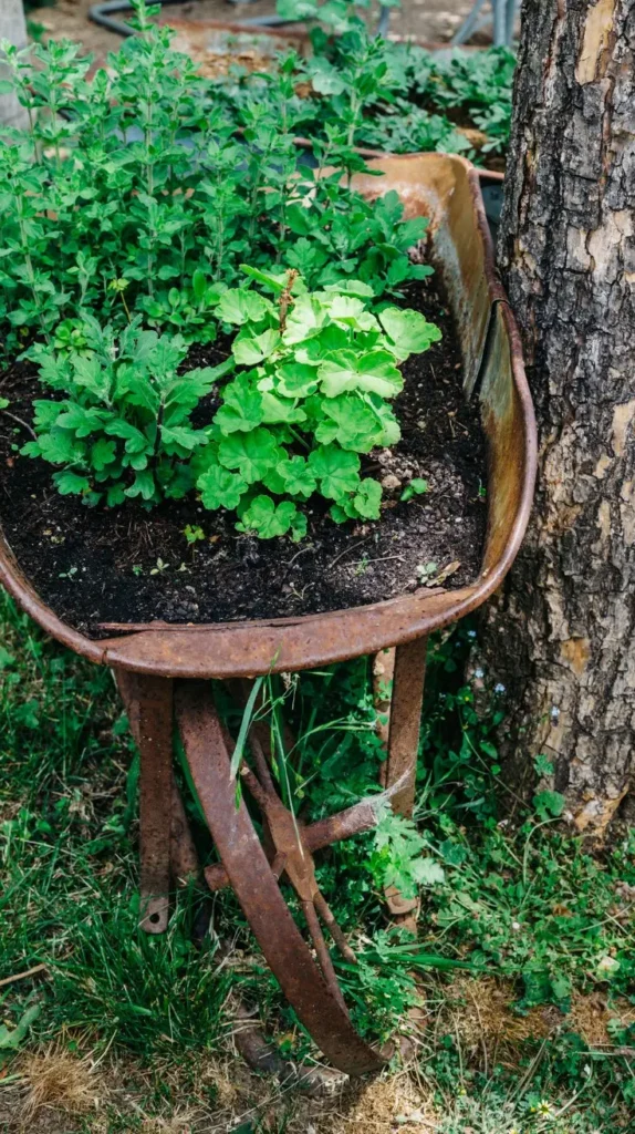 Wheelbarrow Decor Ideas