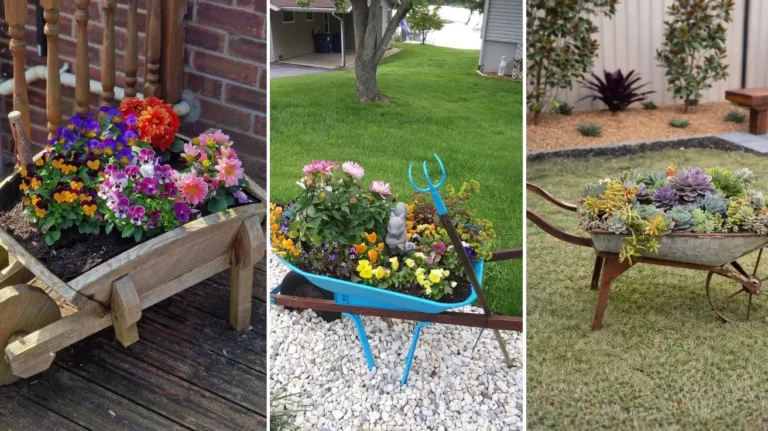 Wheelbarrow Decor Ideas That Turn Any Yard Into a Charming Outdoor Escape