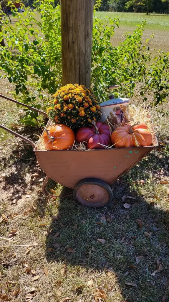 Wheelbarrow Decor Ideas That Turn Any Yard Into a Charming Outdoor Escape

