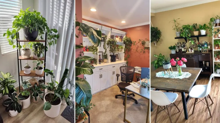 Indoor Plants Decor Ideas That Instantly Transform Any Space
