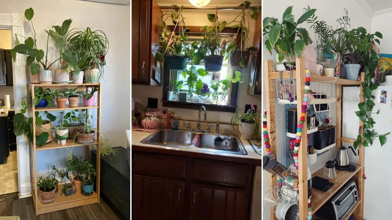 Kitchen Plant Decor Ideas That Instantly Refresh Your Cooking Space