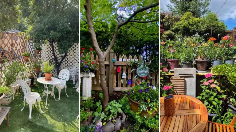 Patio Garden Ideas