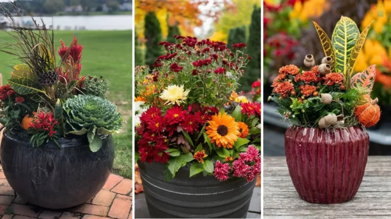 Fall Planter Ideas